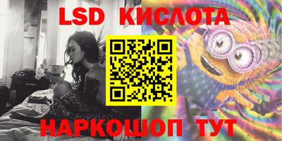 стафф Гусев