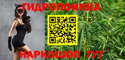 стафф Гусев