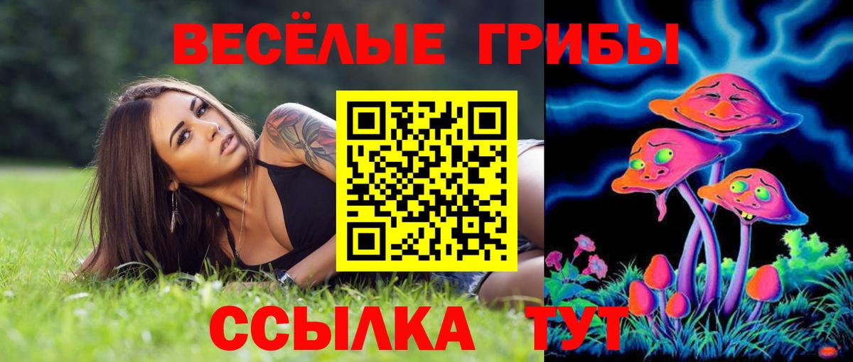 Псилоцибиновые грибы Psilocybe Моздок
